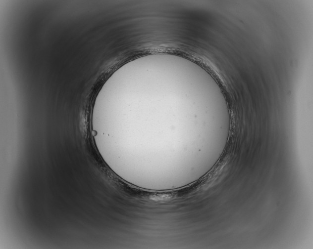 X0000100330357200806051208
