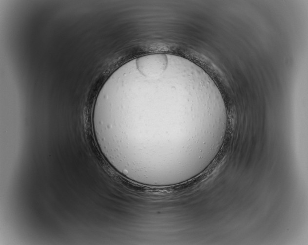 X0000100330359200806051208