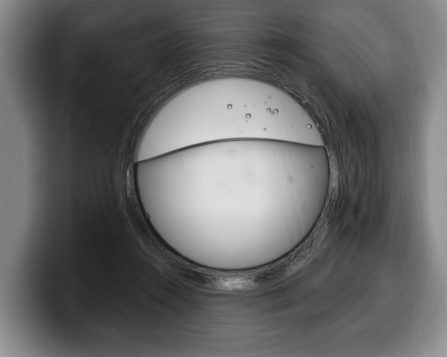 X0000100330360200806051208