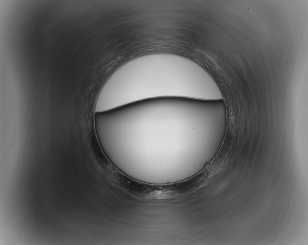 X0000100330364200806051208