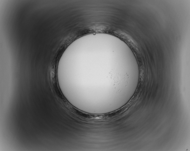X0000100330365200806051208