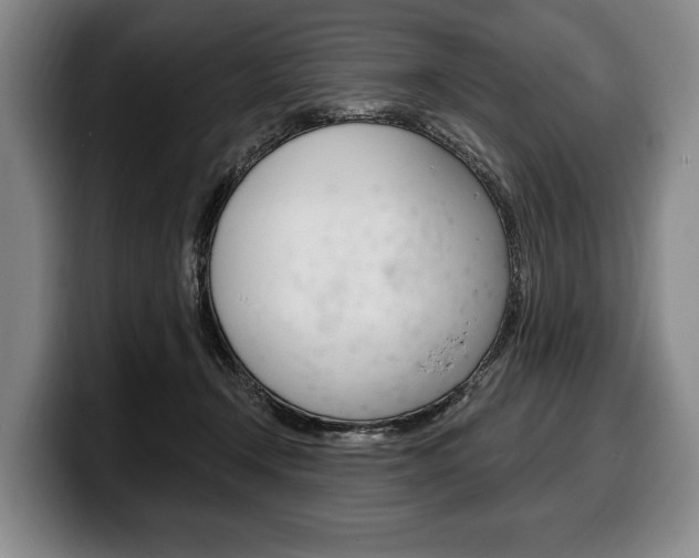 X0000100330366200806051208