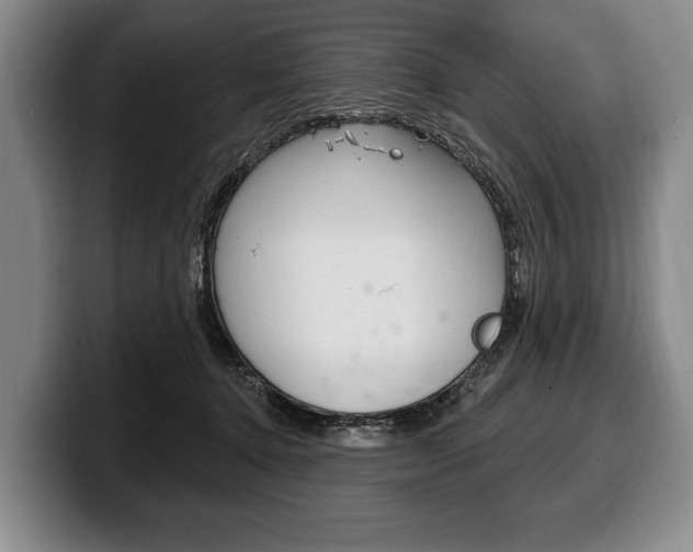 X0000100330368200806051208