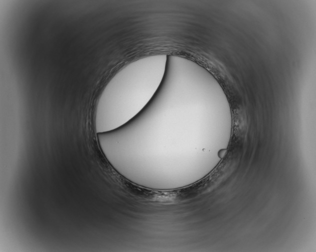 X0000100330369200806051208
