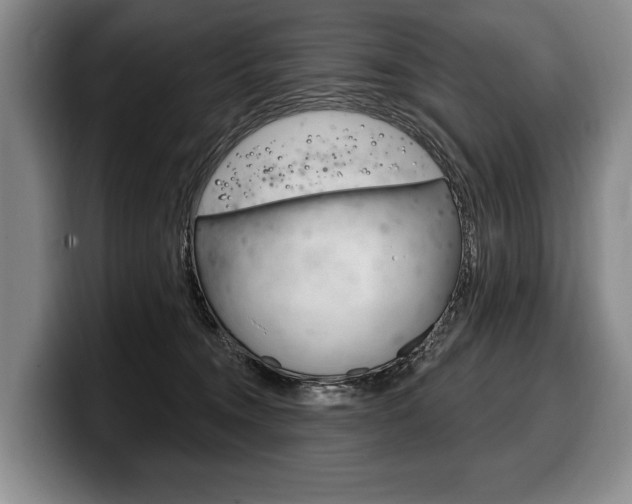 X0000100330372200806051208
