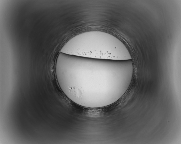 X0000100330373200806051208