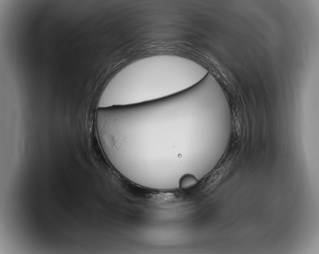 X0000100330374200806051208