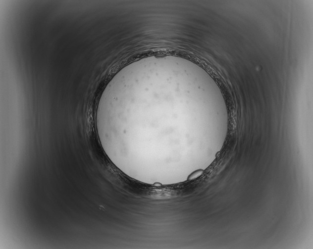 X0000100330376200806051209