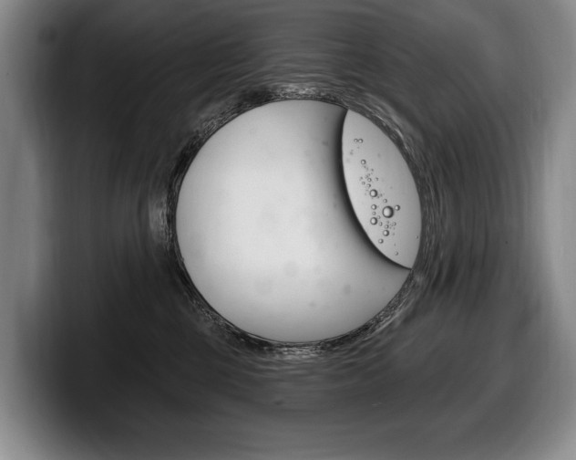 X0000100330377200806051209