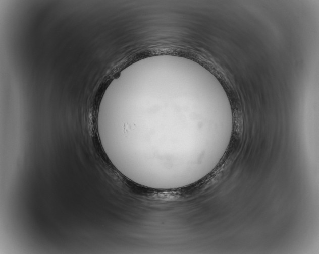 X0000100330378200806051209