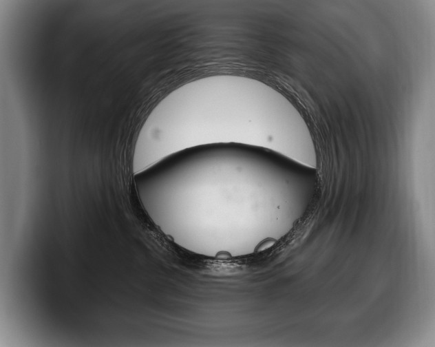 X0000100330380200806051209
