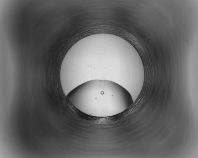 X0000100330382200806051209