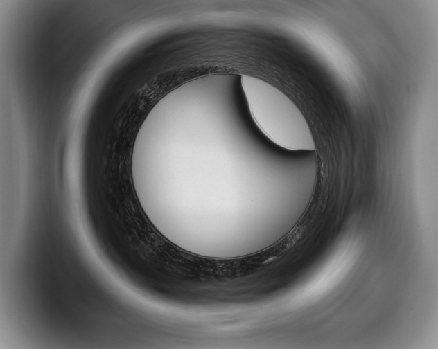 X0000100330383200806051209