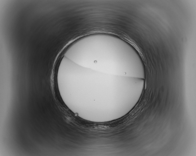 X0000100330387200806051208