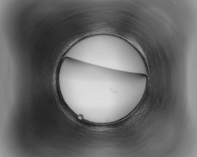 X0000100330389200806051208