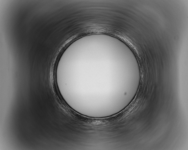 X0000100330390200806051208