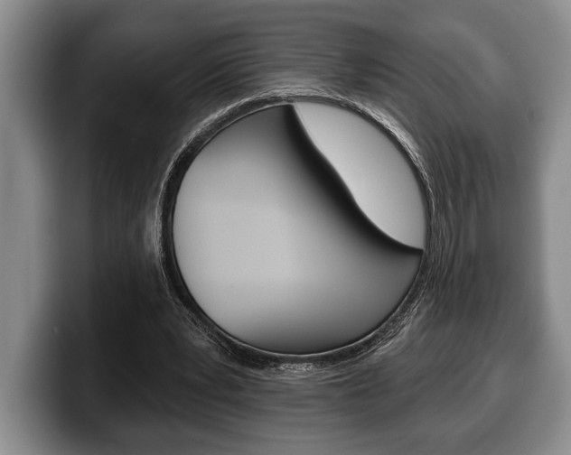 X0000100330391200806051208