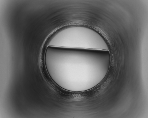 X0000100330392200806051208