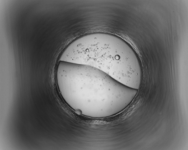 X0000100330393200806051208