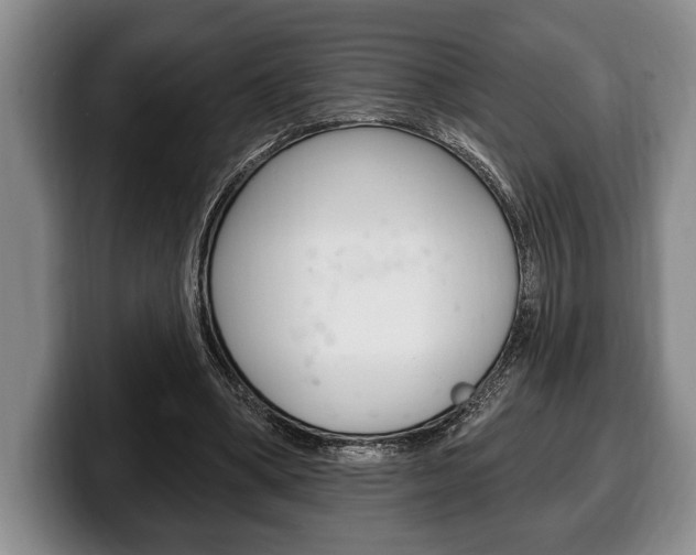 X0000100330394200806051208