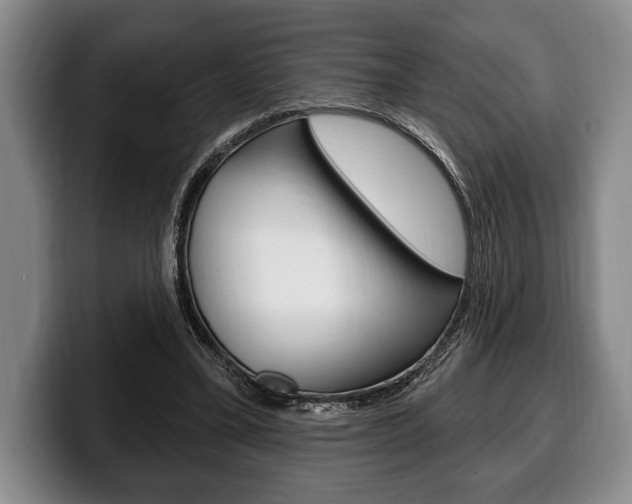 X0000100330395200806051208