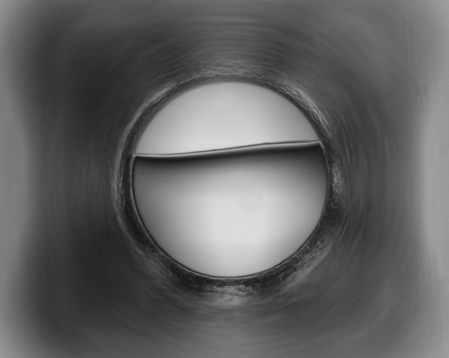 X0000100330396200806051208