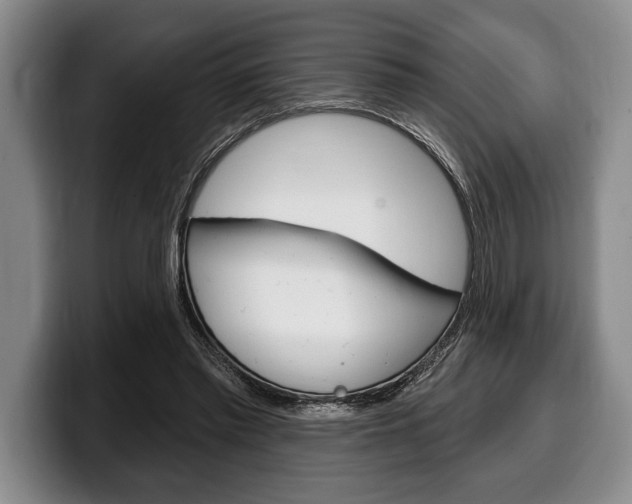 X0000100330397200806051208