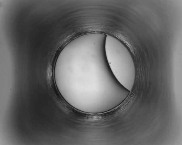 X0000100330398200806051208