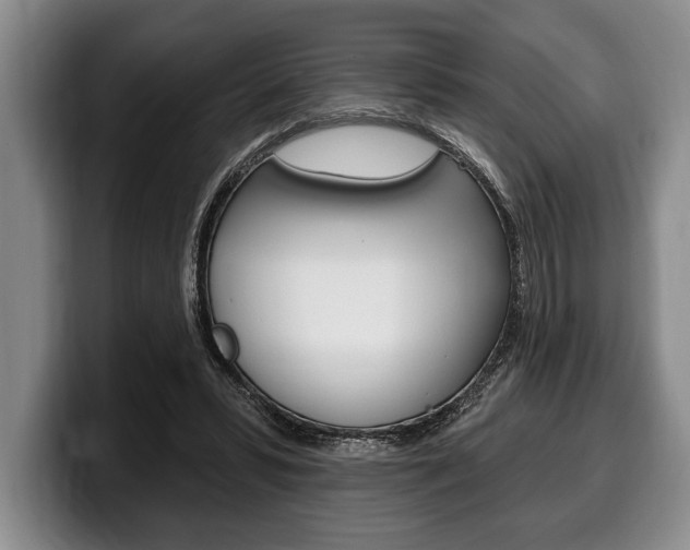 X0000100330399200806051208