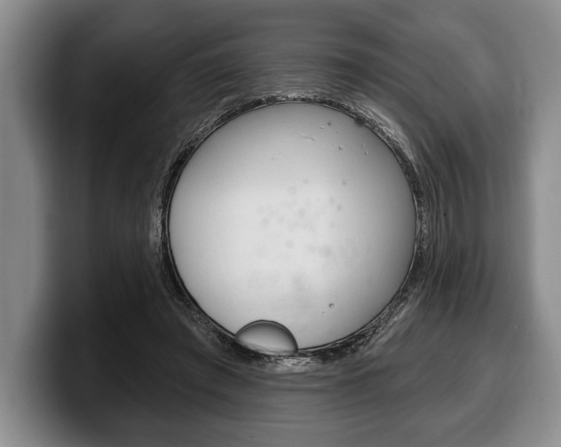X0000100330401200806051208