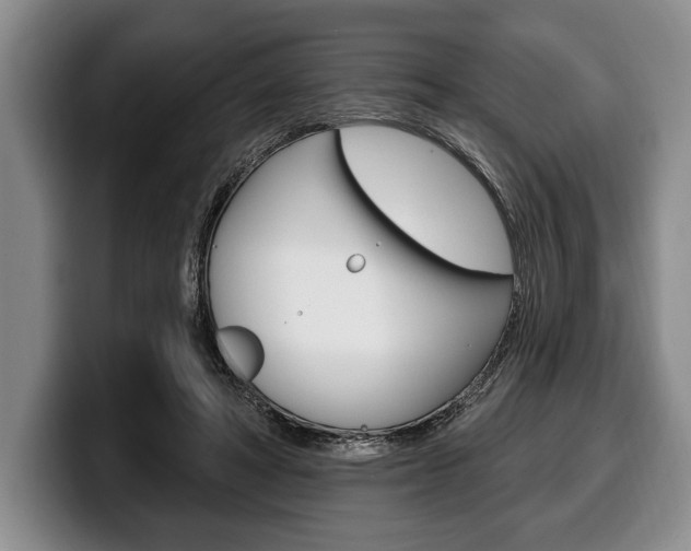 X0000100330402200806051208