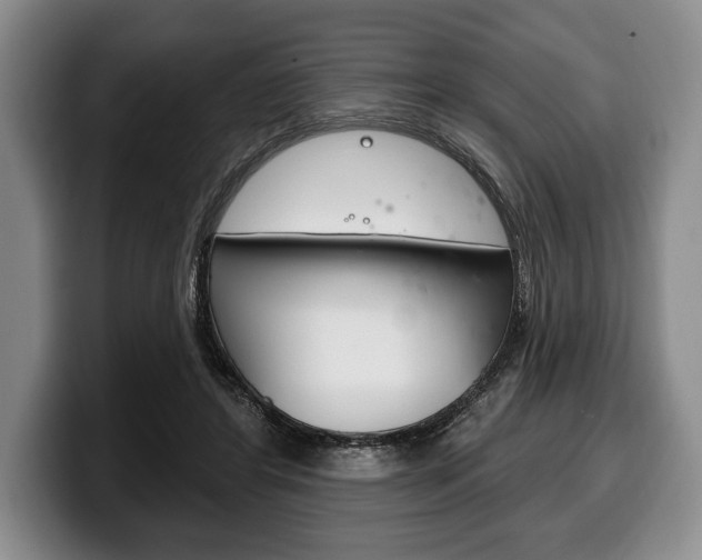 X0000100330404200806051208