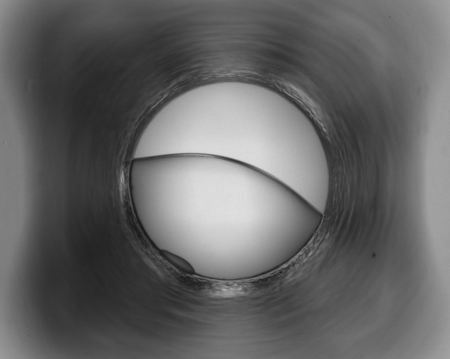 X0000100330405200806051208
