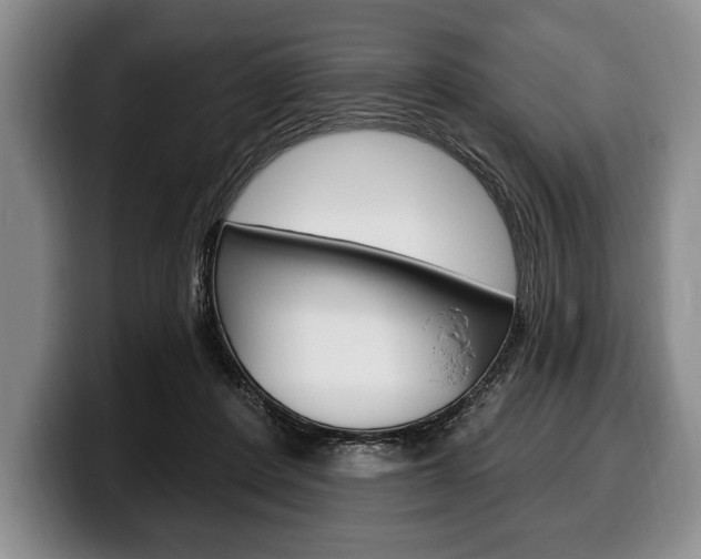 X0000100330408200806051208
