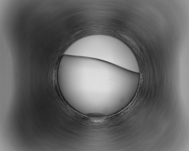 X0000100330409200806051208