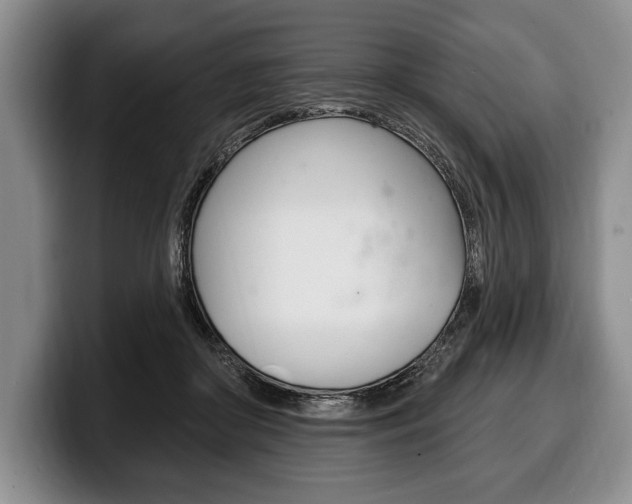 X0000100330410200806051208