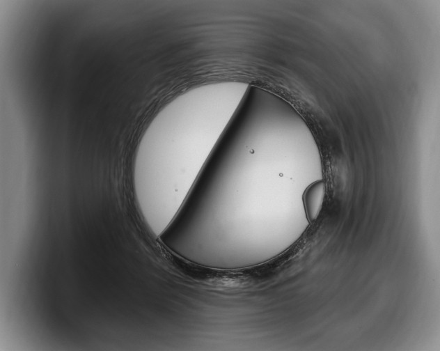 X0000100330412200806051208