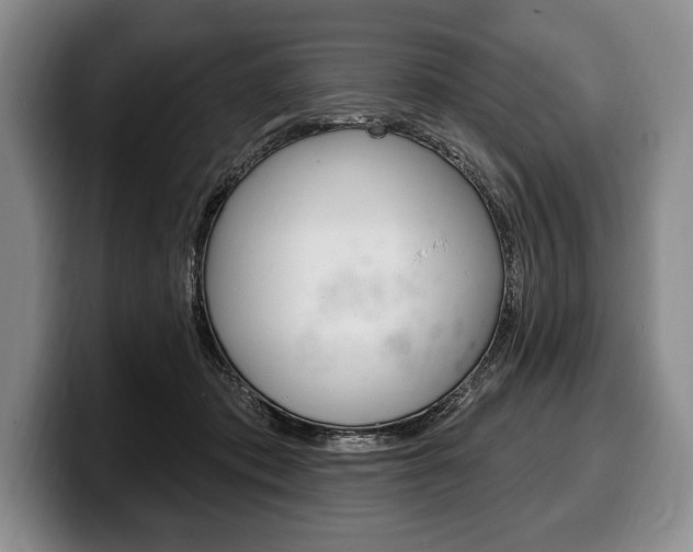 X0000100330413200806051208