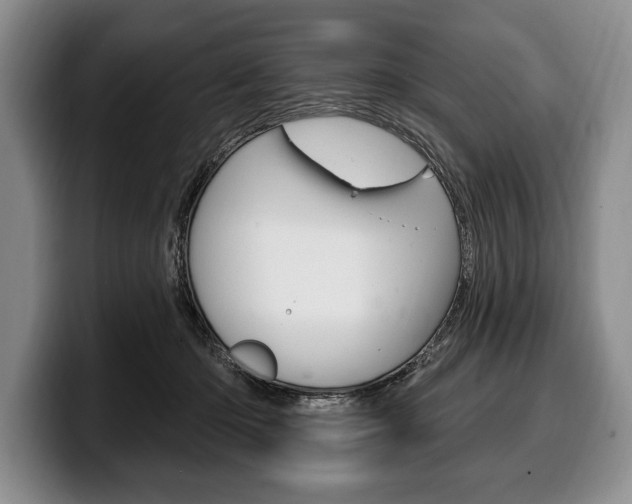 X0000100330414200806051208