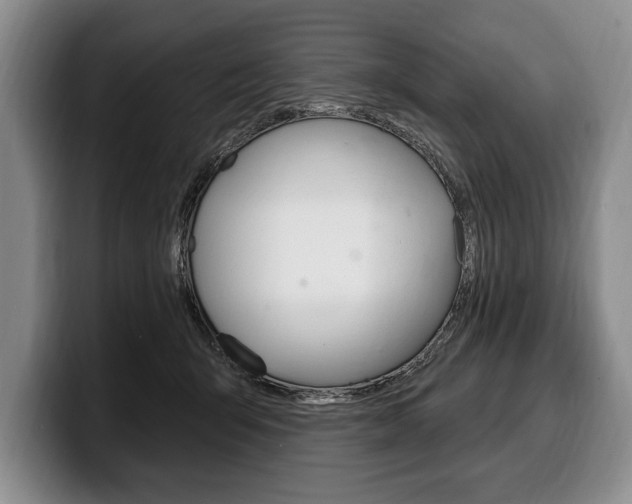 X0000100330415200806051208