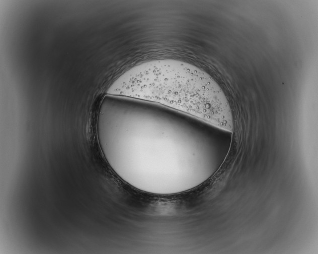 X0000100330416200806051208