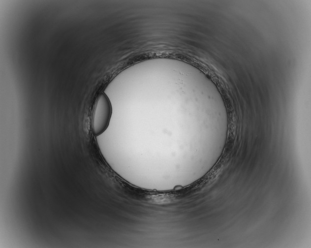 X0000100330417200806051208