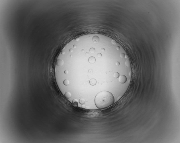 X0000100330418200806051208
