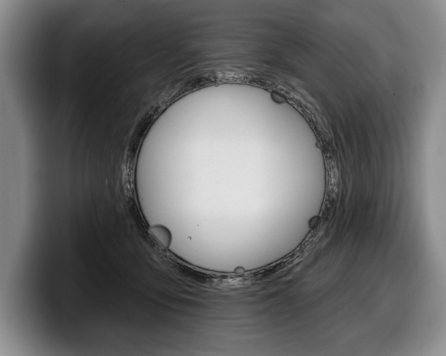 X0000100330419200806051208