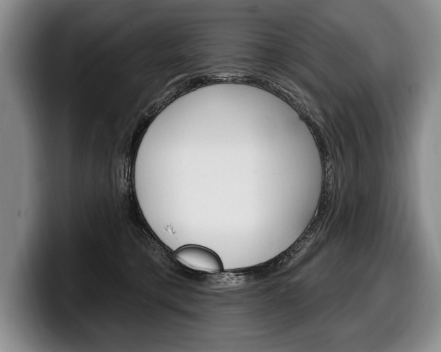 X0000100330421200806051208