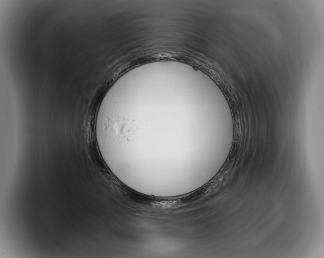 X0000100330422200806051207