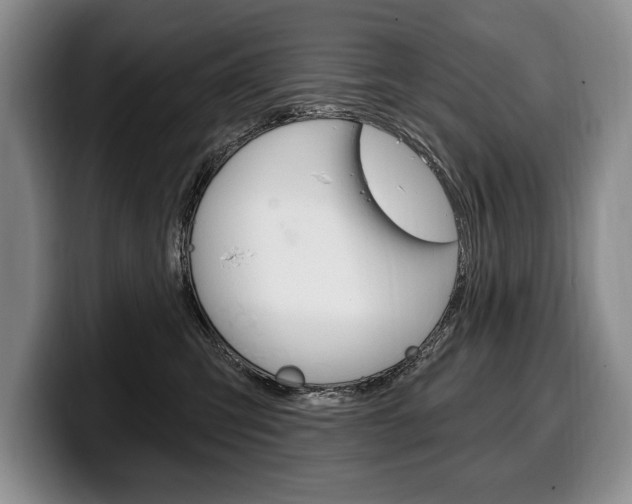 X0000100330423200806051207