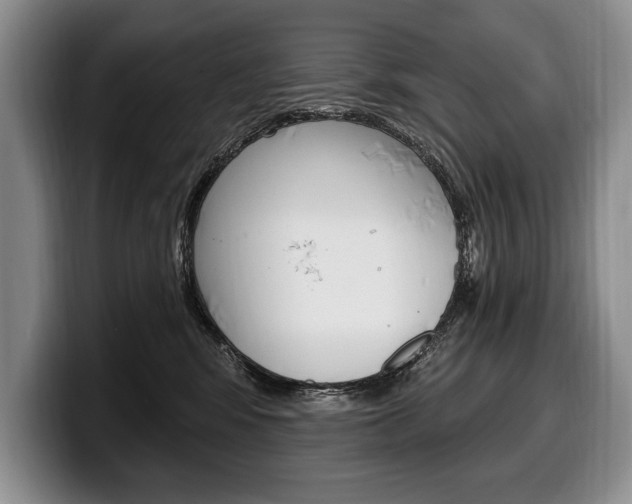 X0000100330424200806051207