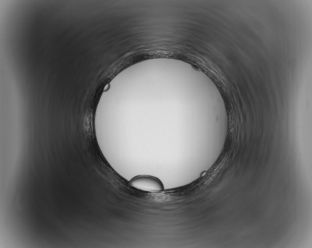 X0000100330425200806051207