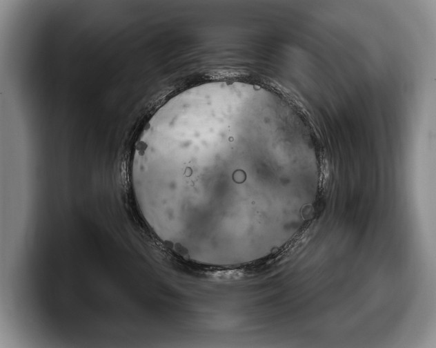 X0000100330426200806051207